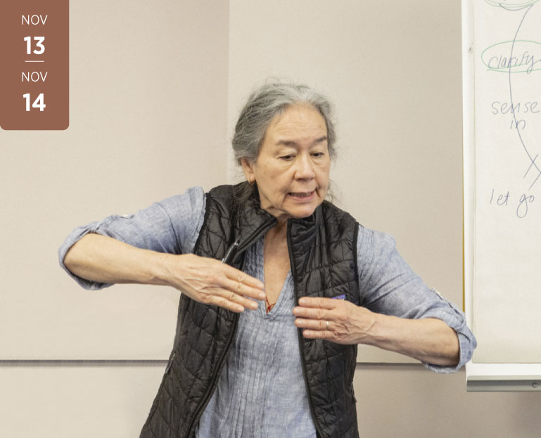 curso-EMANA-Arawana_Presencia en Acción