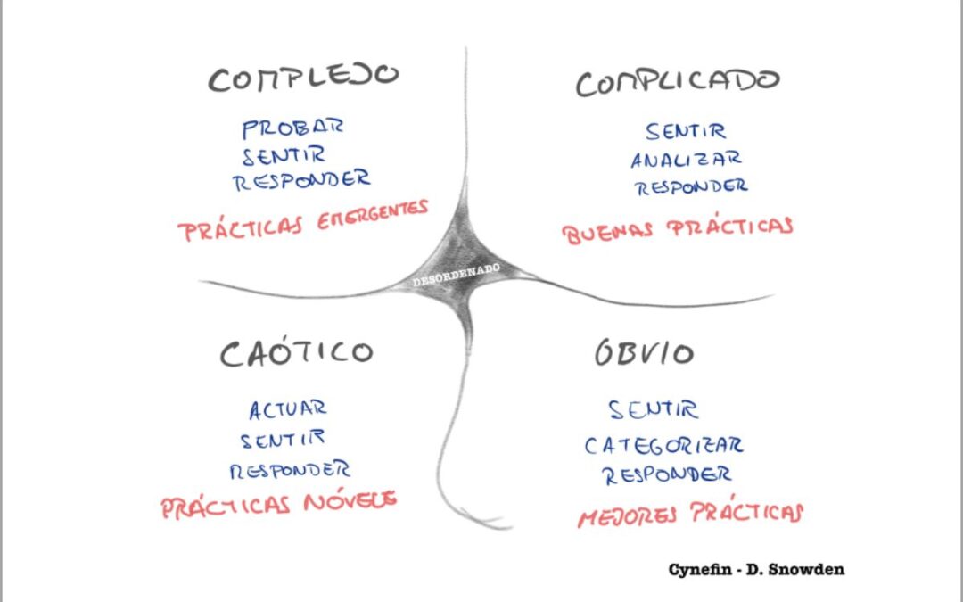 El rol del equipo ante la complejidad