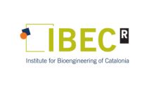 Ibec